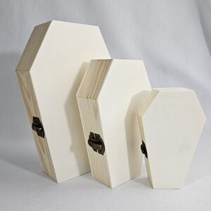 (3) Unfinished Wood Coffin Box